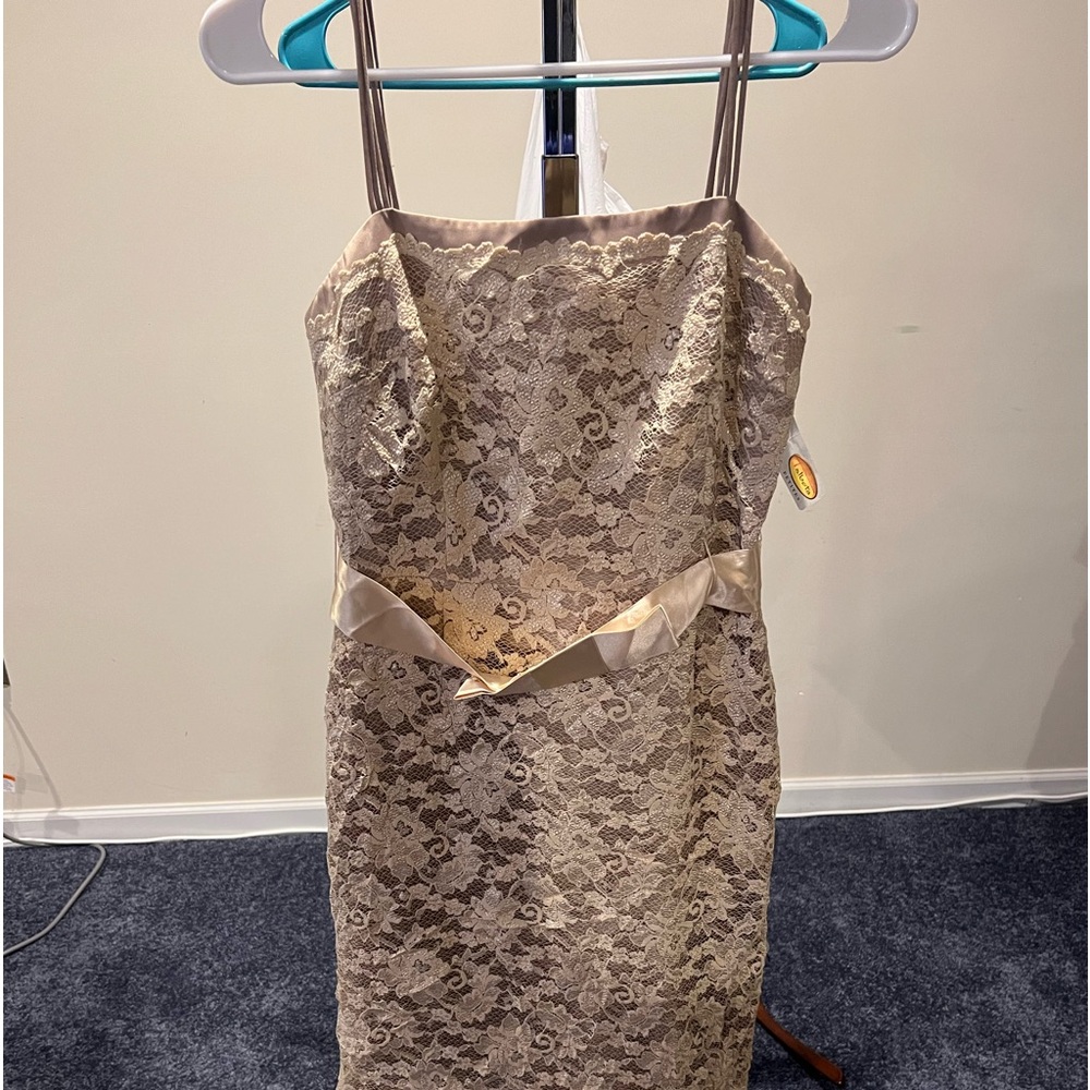 Lace Designed Dress